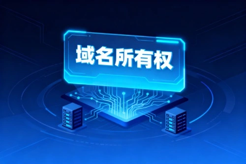 域名所有权