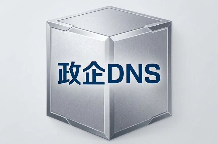 政企DNS