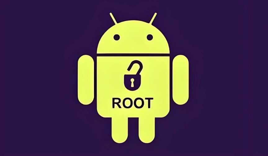 Root