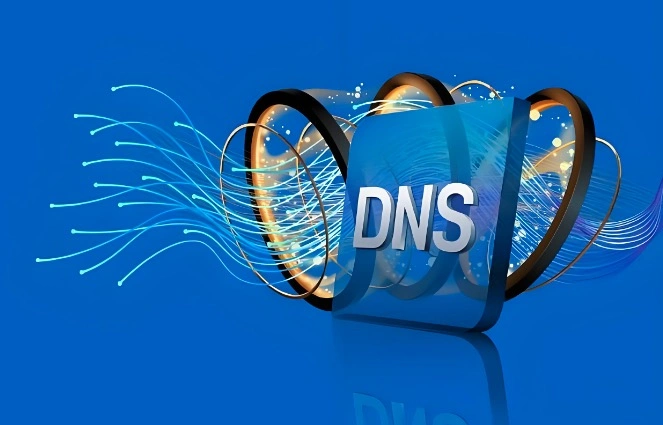 私有DNS