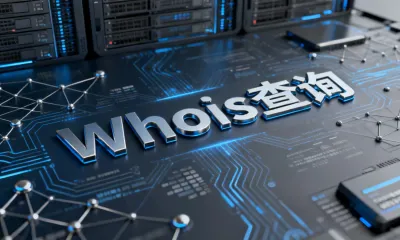 Whois查询
