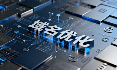 域名优化