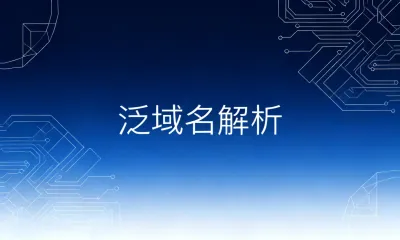 泛域名解析