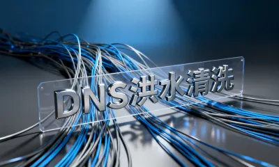 DNS洪水清洗