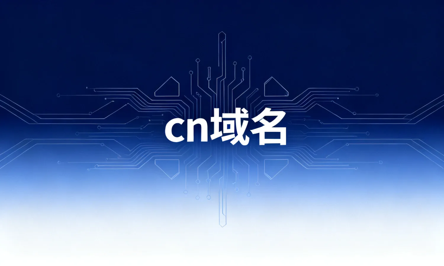 cn域名