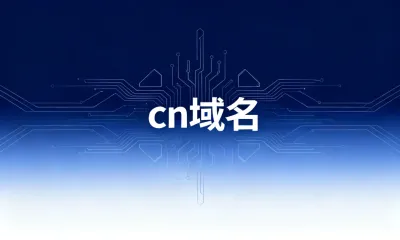 cn域名