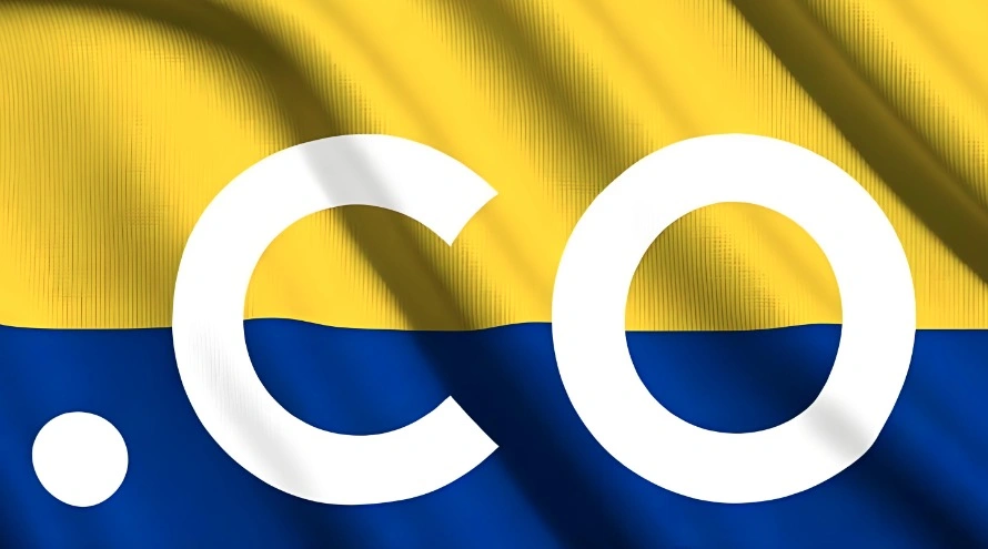 co域名