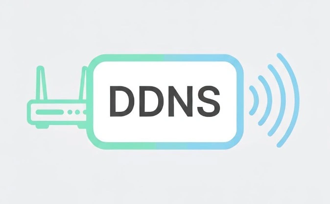 ddns域名