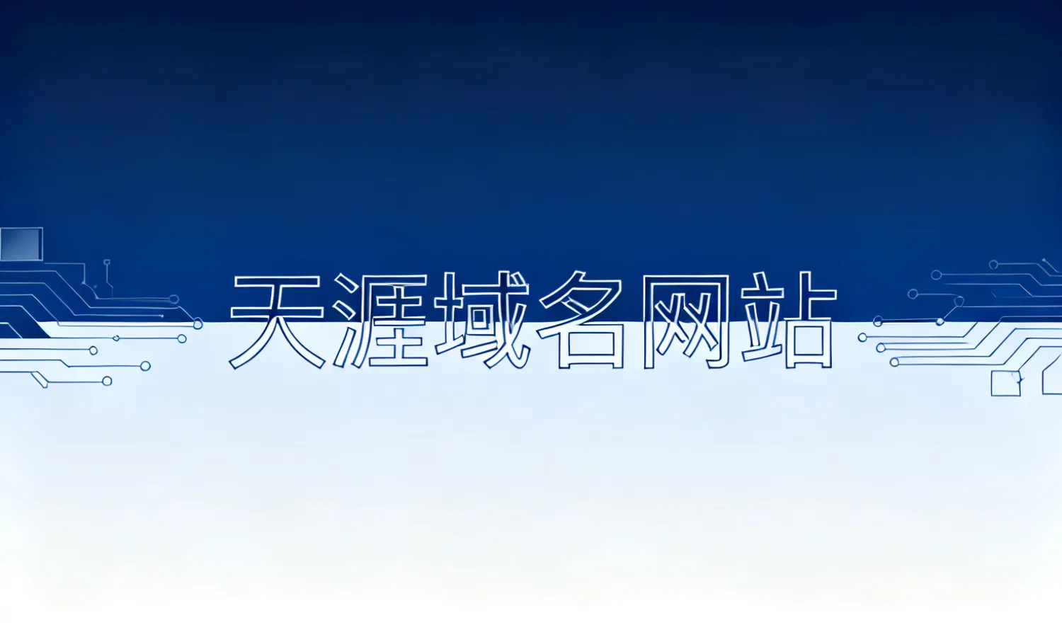 天涯域名网站