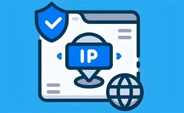 查看域名ip