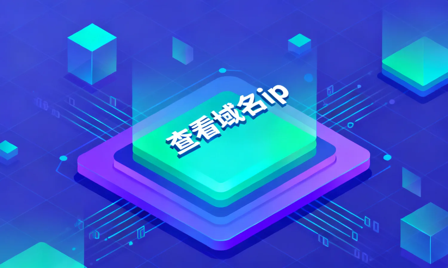 查看域名ip