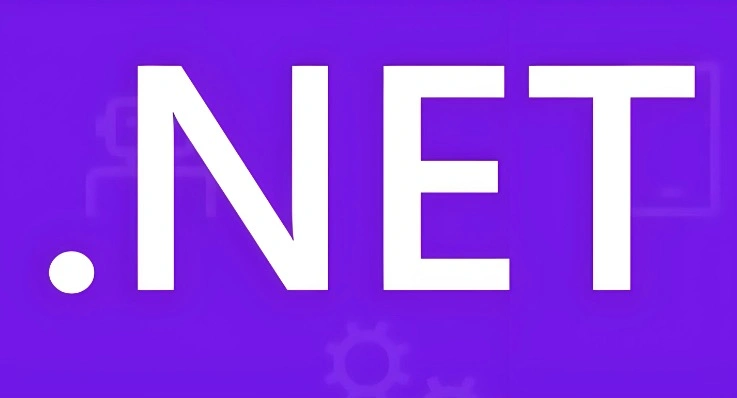 net域名