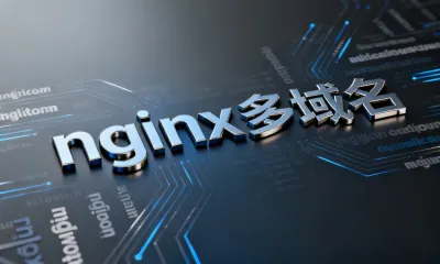 nginx多域名