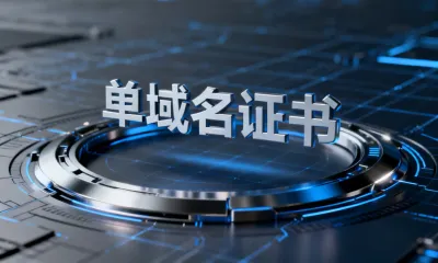 单域名证书