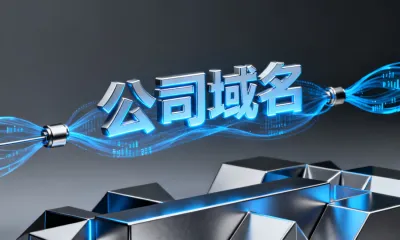 公司域名