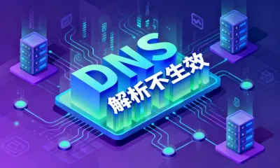 DNS解析不生效