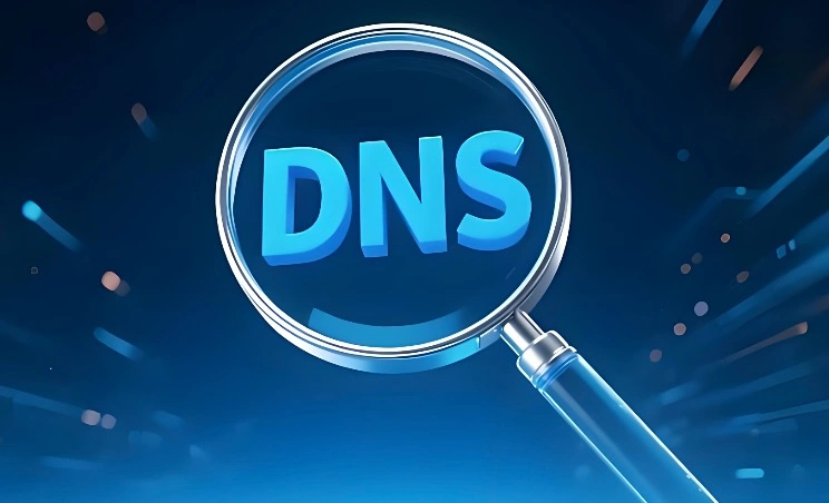DNS安全检测