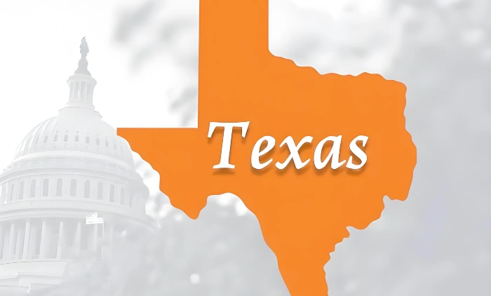texas域名