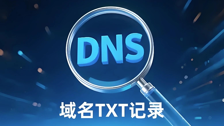 TXT记录域名验证