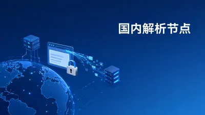国内解析节点