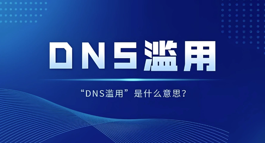 DNS滥用