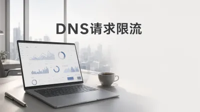 DNS请求限流