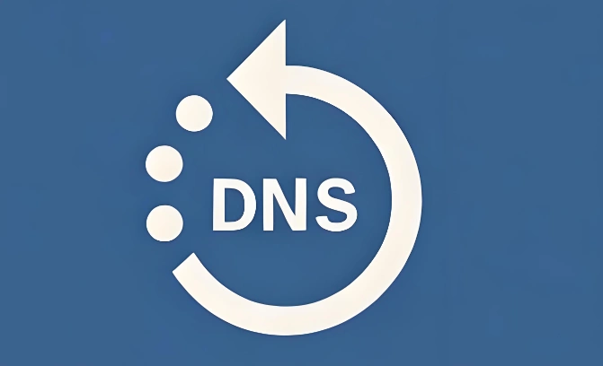 DNS节点故障