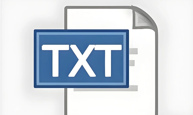 txt记录