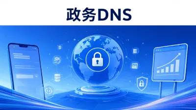 政务DNS
