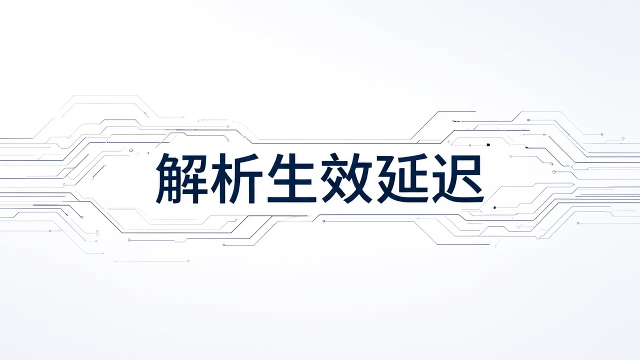 解析生效延迟
