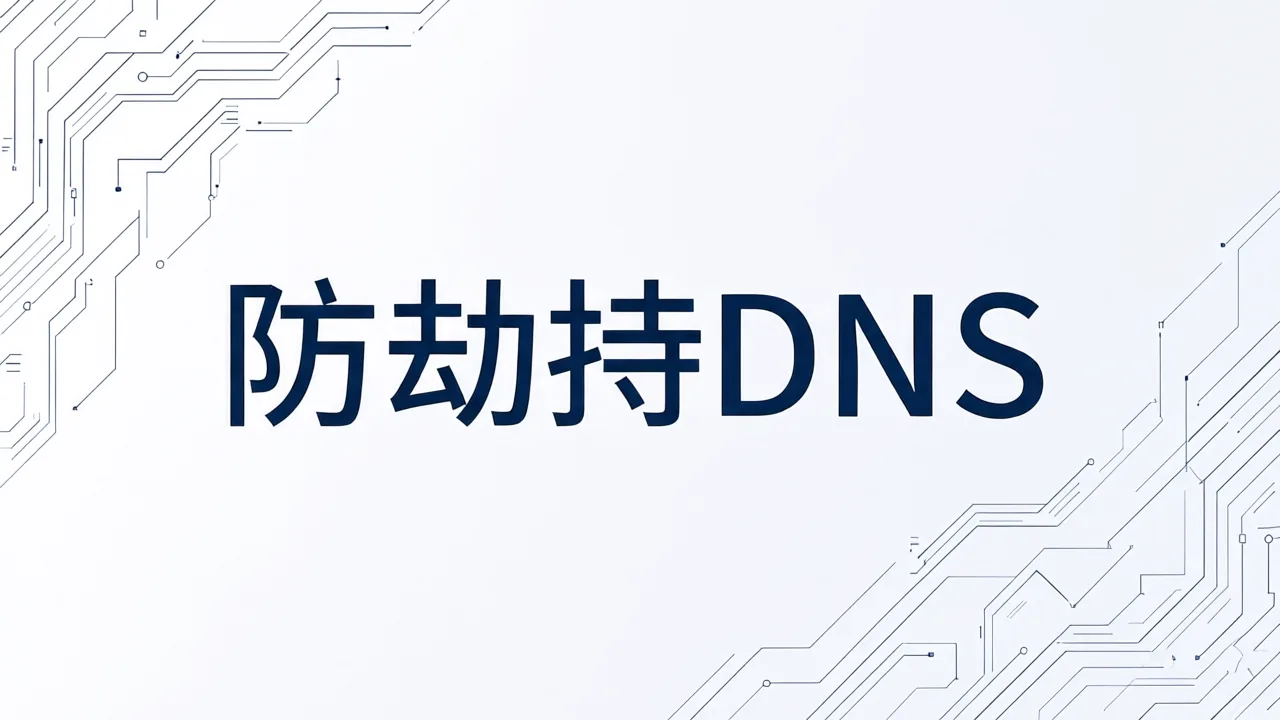 防劫持DNS