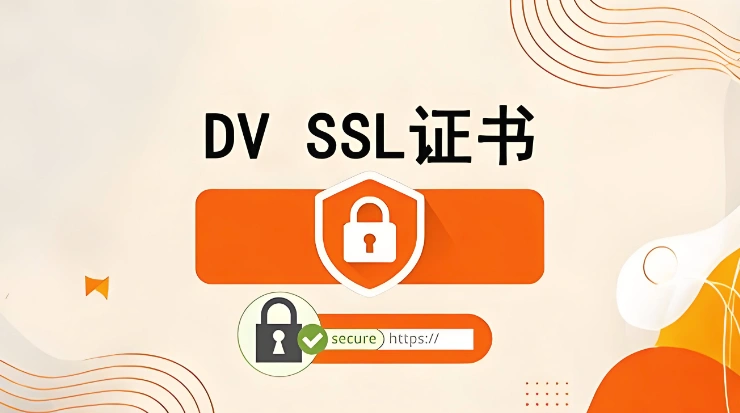 DV 证书申请
