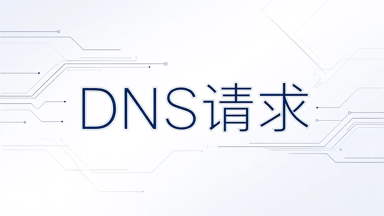 DNS请求