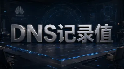 DNS记录值