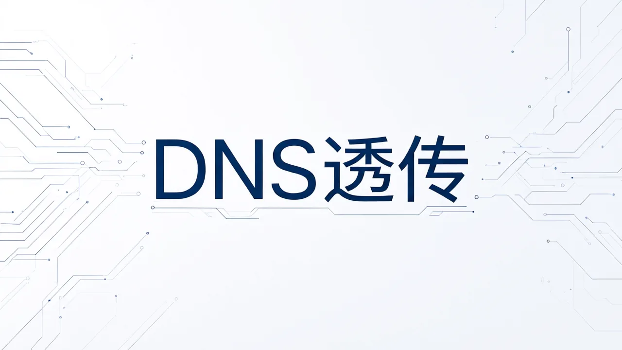 DNS透传