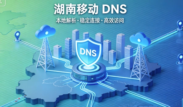 湖南移动DNS