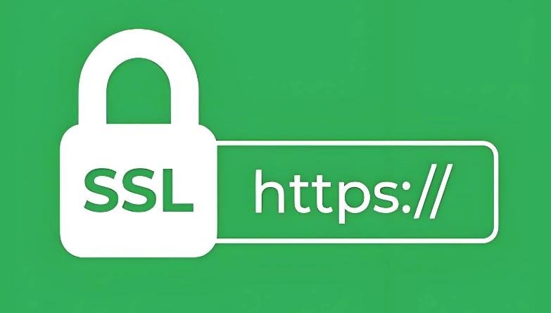SSL查询