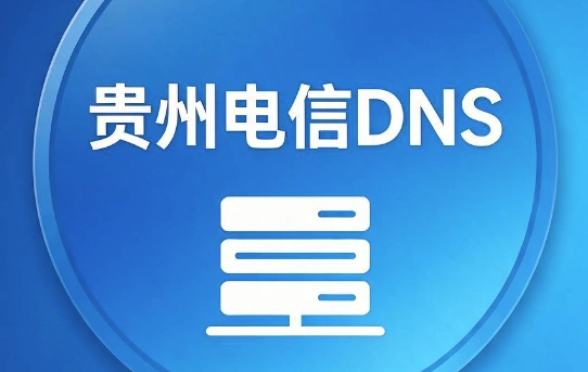 贵州电信DNS