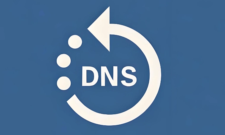重置DNS