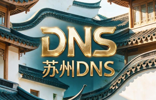 苏州DNS