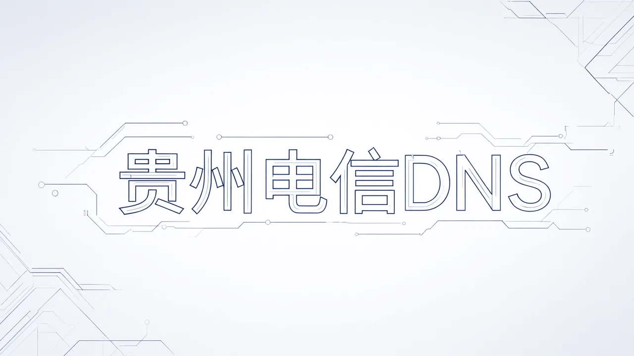 贵州电信DNS