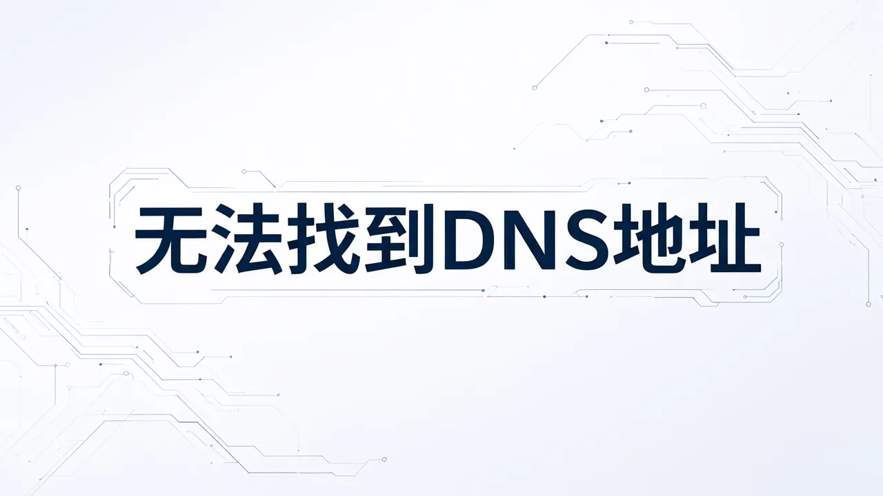 无法找到DNS地址