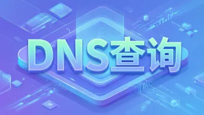 DNS查询