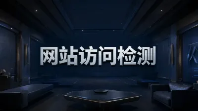 网站访问检测