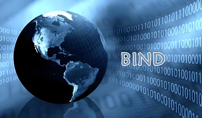 BIND DNS