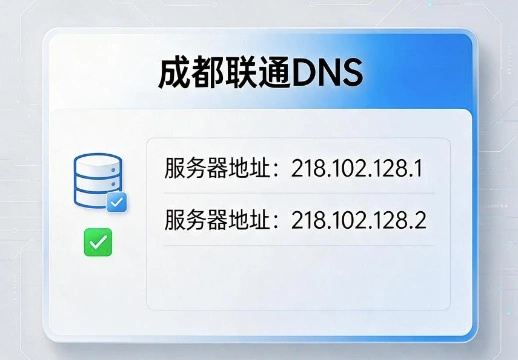 成都联通DNS
