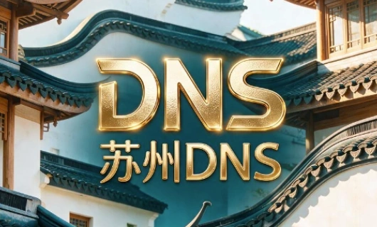 苏州DNS