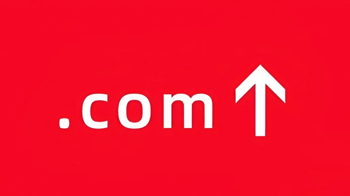 .com域名