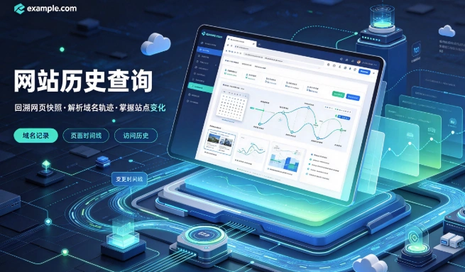 网站历史查询