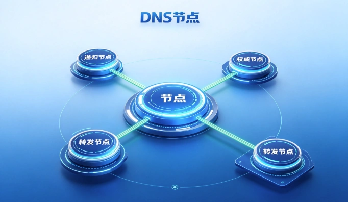 DNS节点